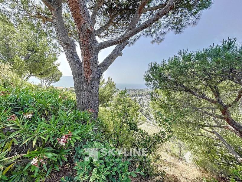 Appartement - 31 m² - 1 pièce