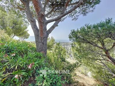 Appartement - 31 m² - 1 pièce