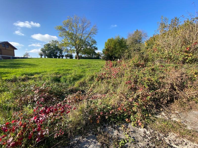 Maison - 191 m² - 7 pièces