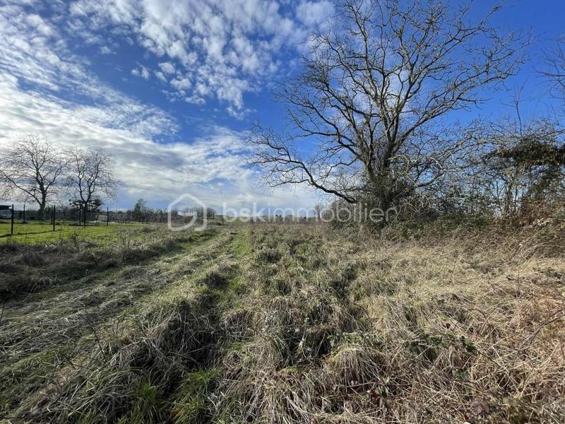 Terrain constructible - 1 132 m²