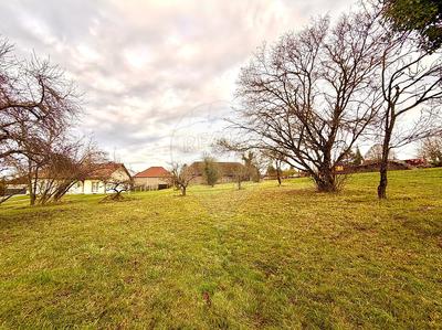 Terrain - 1 804 m²