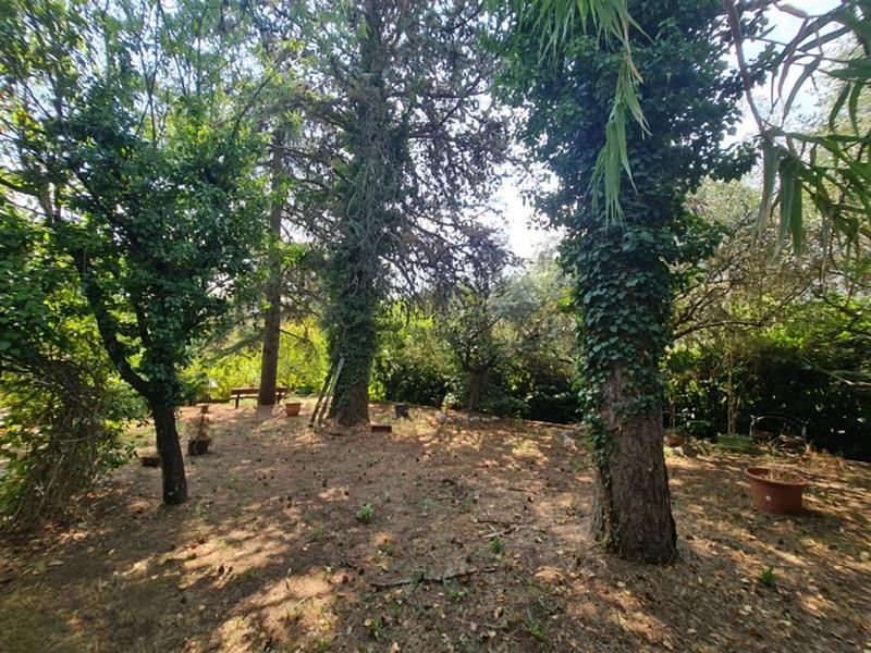 Maison - 330 m² - 10 pièces