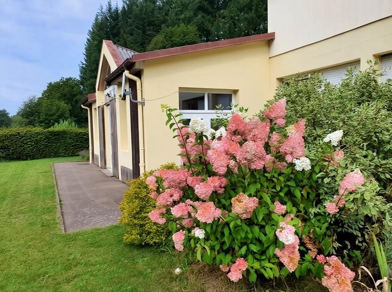 Propriété - 450 m² - 20 pièces