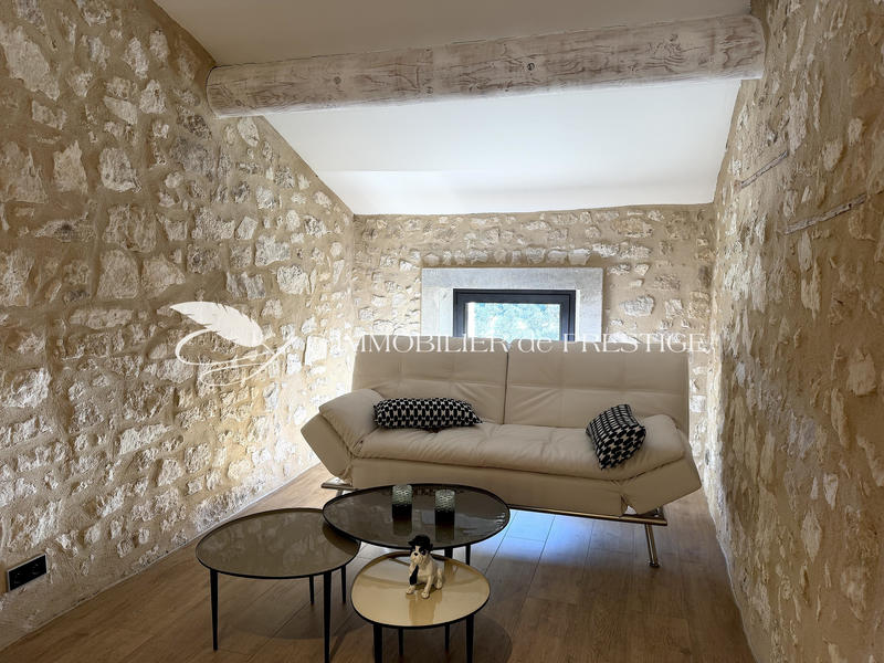 Mas - 464 m² - 10 pièces