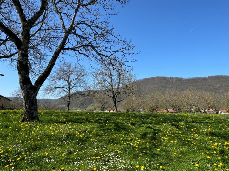 Terrain constructible - 1 052 m²