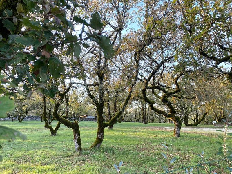 Maison - 215 m² - 6 pièces