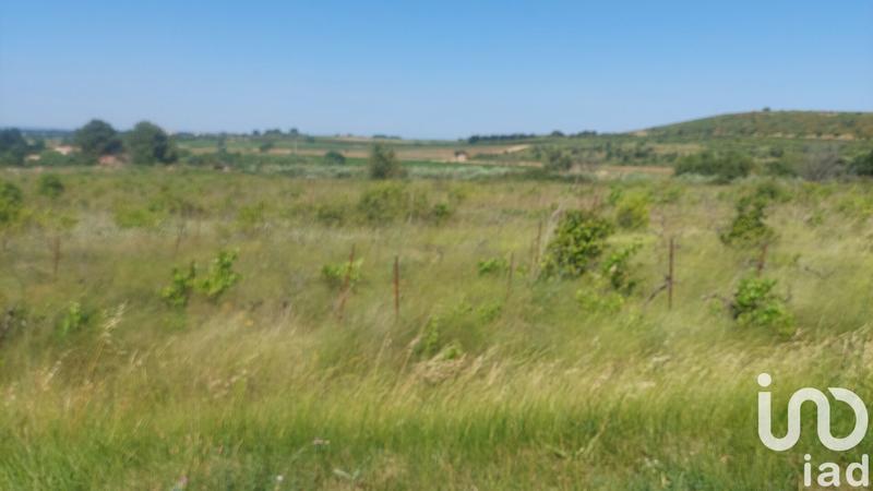 Terrain agricole - 4 430 m²