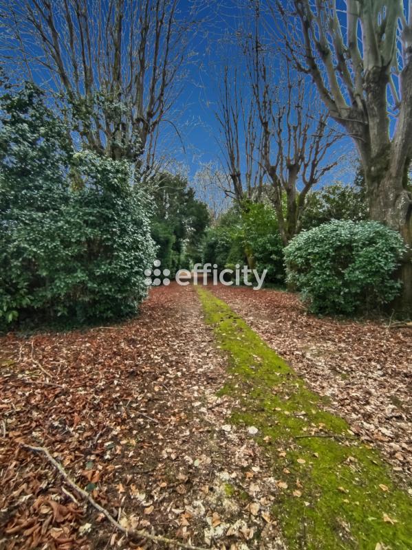 Demeure - 425 m² - 15 pièces