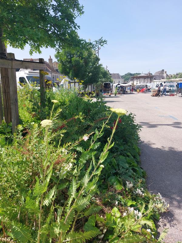 Marché de Montoire-sur-le Loir