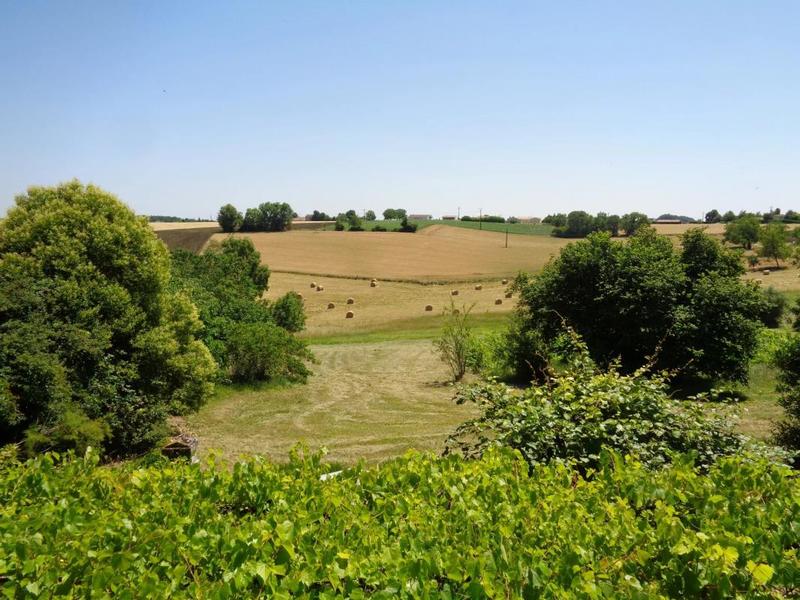 Propriété - 142 m² - 6 pièces