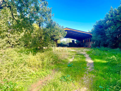 Local d'activité / Entrepôt - 880 m² - 1 pièce