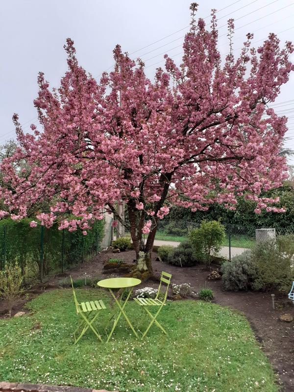 Maison - 80 m² - 5 pièces