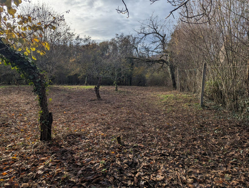 Maison - 175 m² - 5 pièces