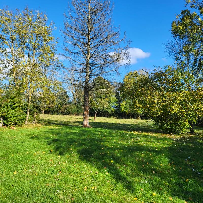 Maison - 87 m² - 5 pièces