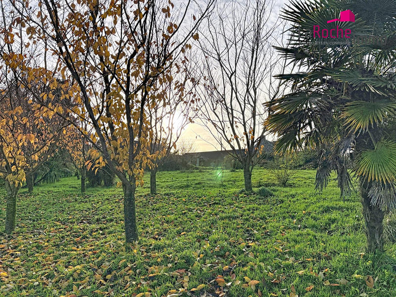 Maison ancienne - 316 m² - 9 pièces