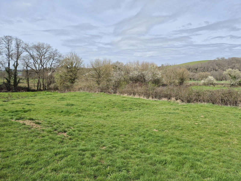 Château - 251 m² - 13 pièces