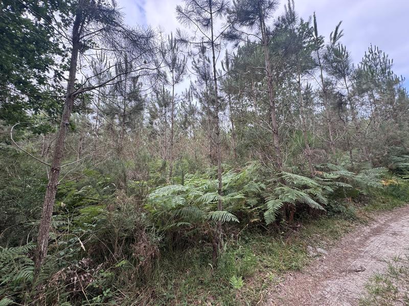 Terrain - 141 093 m²