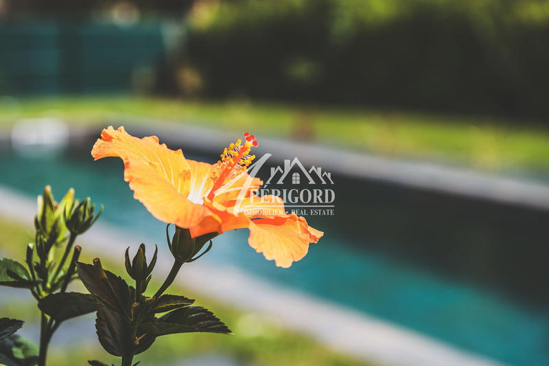 Maison contemporaine - 162 m² - 7 pièces