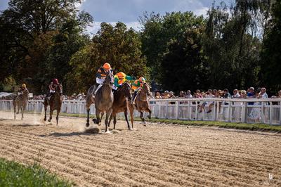 Courses hippiques - Paëlla géante