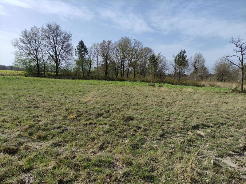Terrain constructible - 1 217 m²