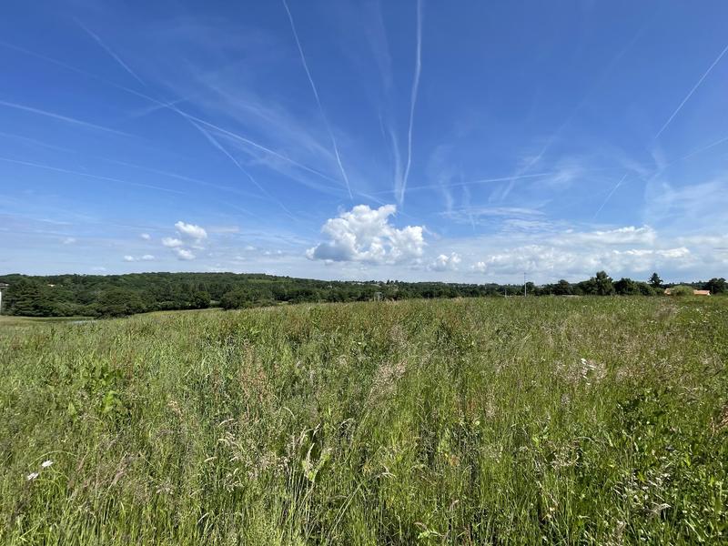 Terrain constructible - 1 267 m²