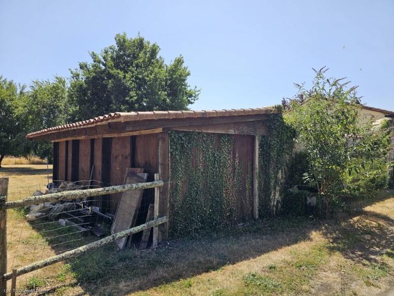 Maison en pierre - 140 m² - 9 pièces