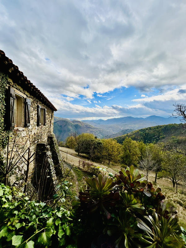 Mas - 230 m² - 14 pièces