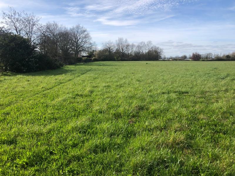 Terrain constructible - 10 045 m²