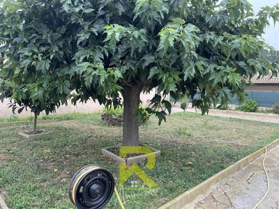 Villa - 170 m² - 7 pièces