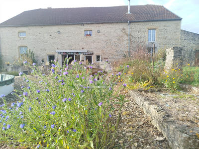 Maison - 301 m² - 15 pièces