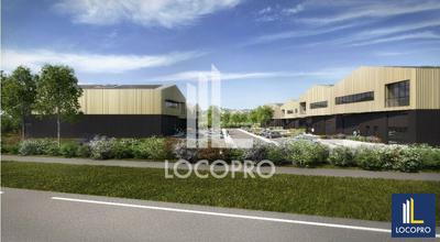 Local d'activité / Entrepôt - 977 m²