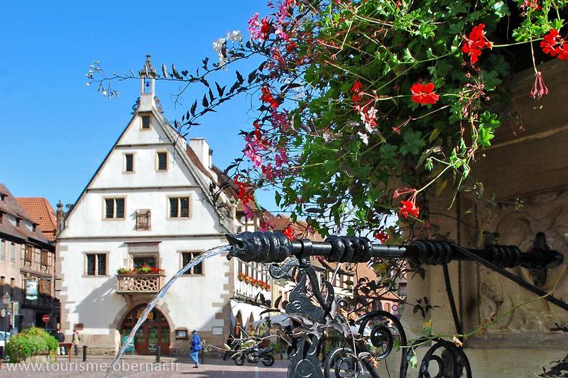 La vieille ville d'Obernai Réf 01