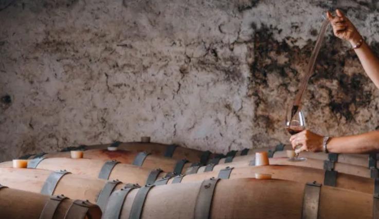 Terrain agricole - 900 m²