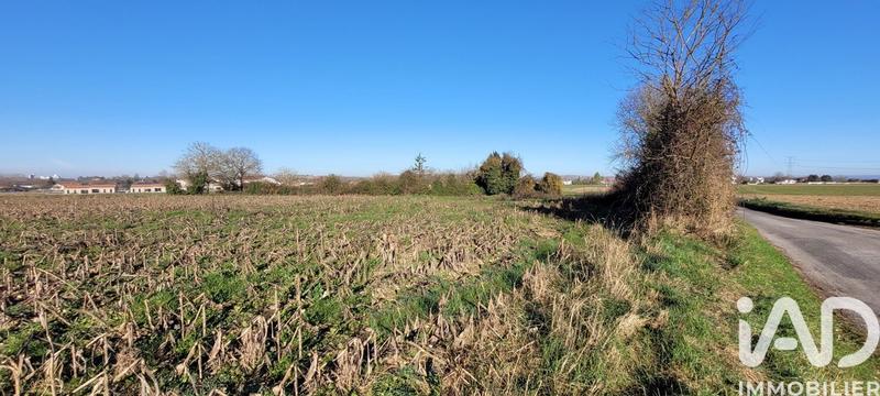 Terrain - 11 924 m²