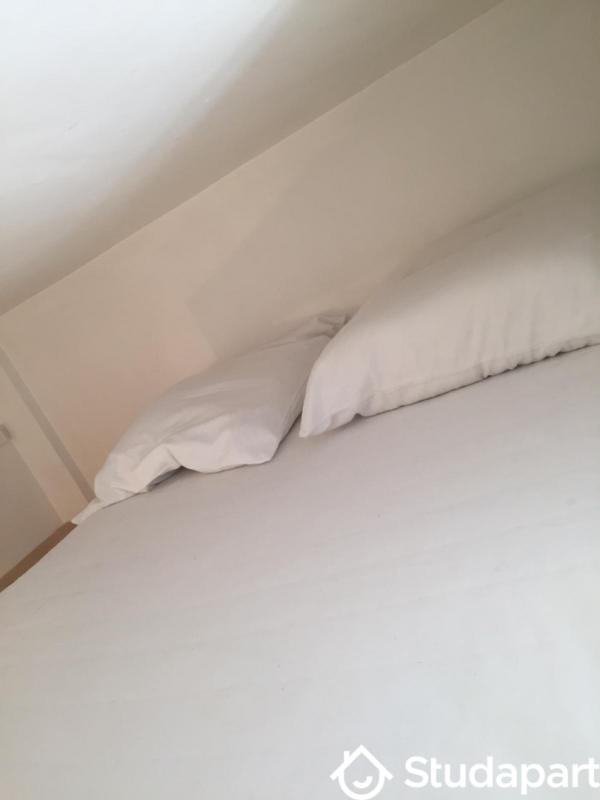 Appartement - 16 m² - 1 pièce