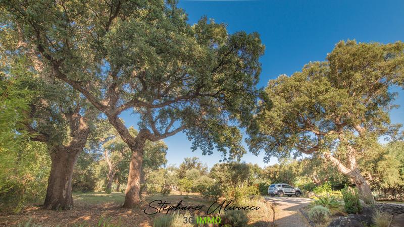 Maison d'architecte - 263 m² - 9 pièces