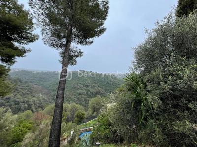 Maison - 499 m² - 6 pièces