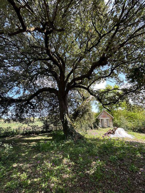 Maison - 800 m² - 30 pièces