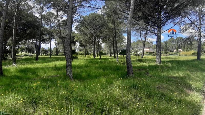 Terrain - 5 558 m²
