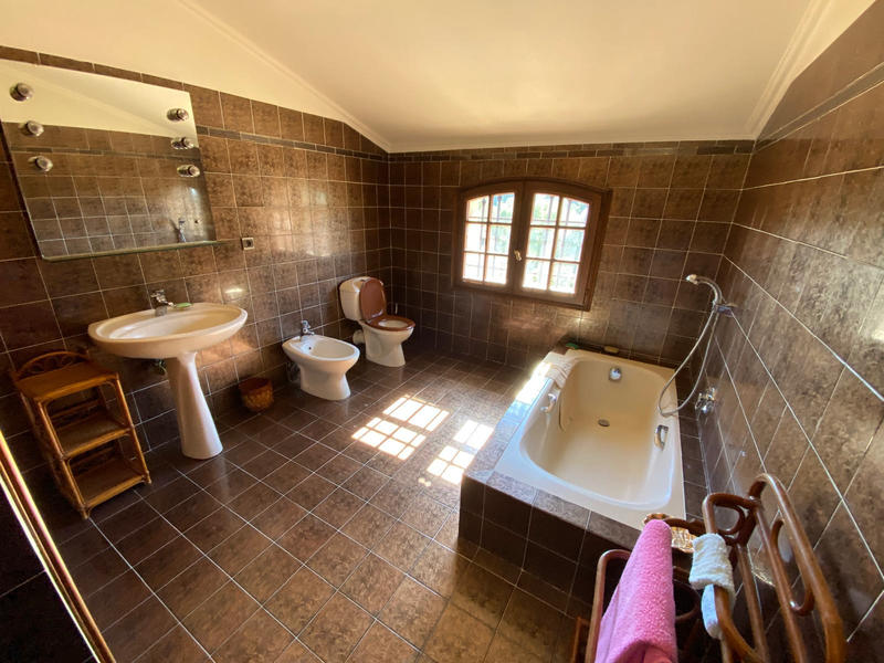 Viager - Maison - 318 m² - 7 pièces