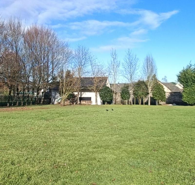 Terrain constructible - 1 288 m²