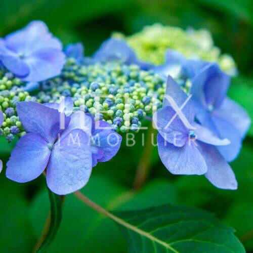 Appartement - 101 m² - 5 pièces