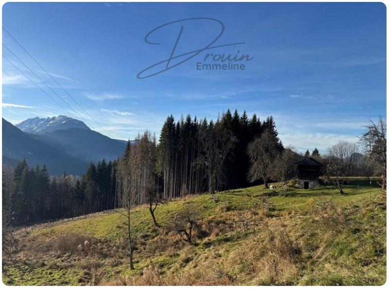 Terrain agricole - 15 405 m²
