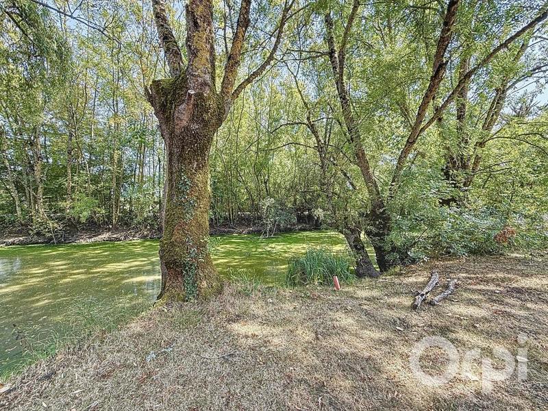 Maison - 180 m² - 7 pièces