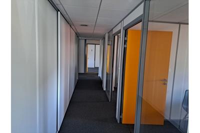 Bureau - 230 m²