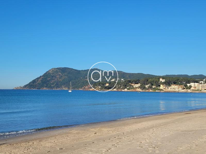 Appartement - 23 m² - 1 pièce