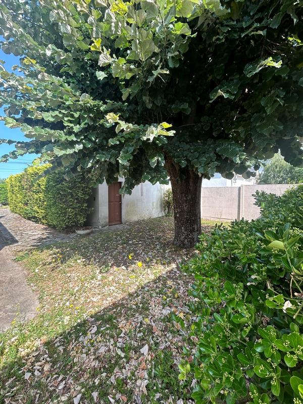 Maison traditionnelle - 132 m² - 6 pièces