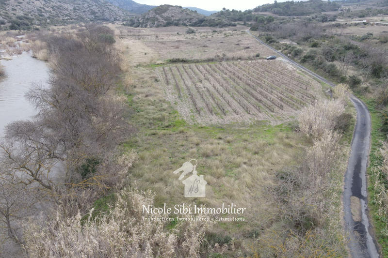 Terrain agricole - 5 600 m²