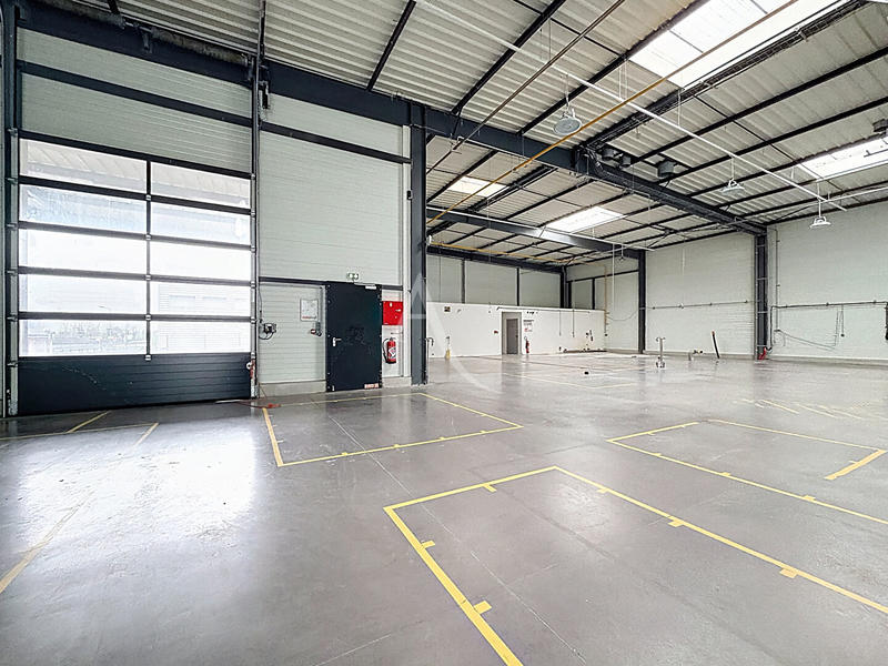 Local d'activité / Entrepôt - 800 m²