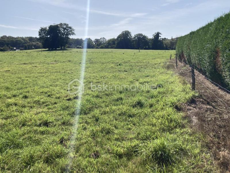 Maison de campagne - 65 m² - 3 pièces